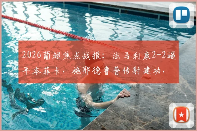 2026葡超焦点战报：法马利康2-2逼平本菲卡，施耶德鲁普传射建功，赛后解析与全场数据一览